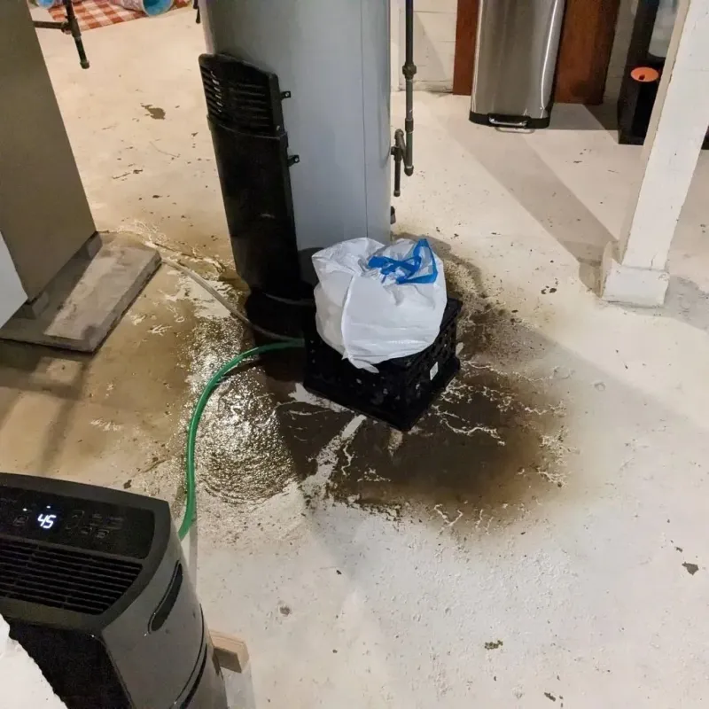 Sewage Backup Cleanup Service in Graymoor-Devondale, KY